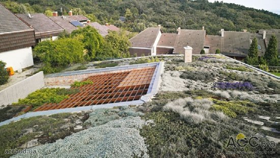 Дом с лужайкой на крыше, Венгрия